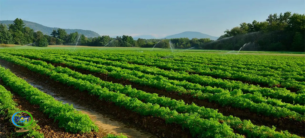 Best Choice Farms